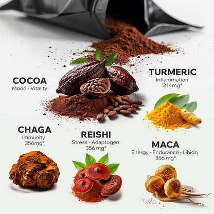 DailyNutra KSM 66 Ashwagandha (90 Capsules) and Mushroom Cacao Mix (16oz) Bundle for Relaxation and Focus