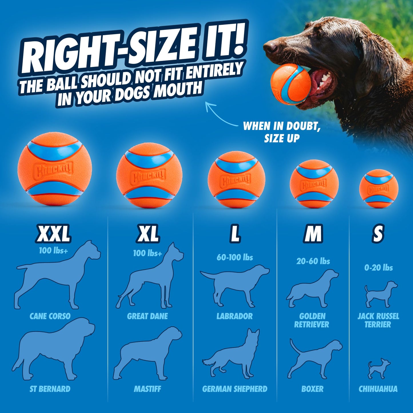 Chuckit! Ultra Ball Dog Toy - Medium Bouncy Fetch Balls For Dogs 20-60 lbs - Made from Durable Rubber - Floating Water Pet Toys - Size Medium - 2.5-inch Diameter - Pack of 2 | Bouncy durable rubber design for pups 20-60 lbs, high bounce action for active