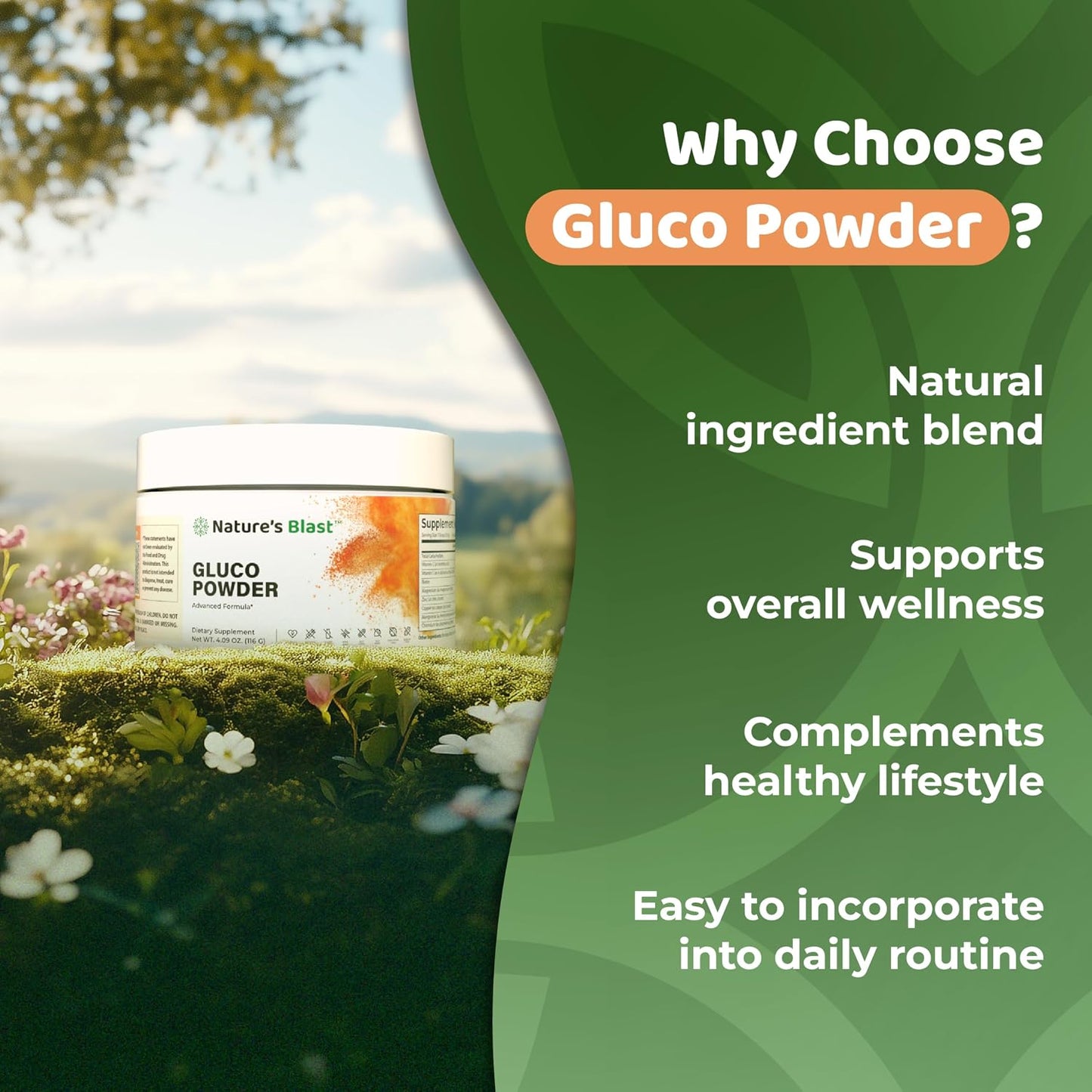 Gluco-Powder | Metabolic Wellness Blend for Energy & Vitality | White Mulberry Extract & Ceylon Cinnamon, Metabolic Wellness Blend, Energy & Vitality. 30 Days Supply. Orange Cinnamon flavor