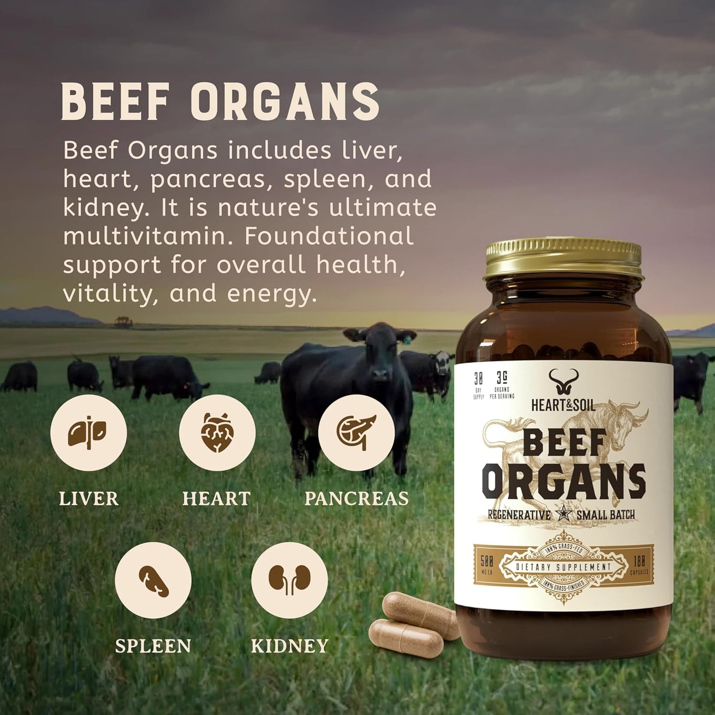 HEART & SOIL Beef Organs Supplement, 180 Capsules | 100% grass fed & finished from regenerative cattle with liver, heart, kidney, pancreas & spleen. 3000mg formula.