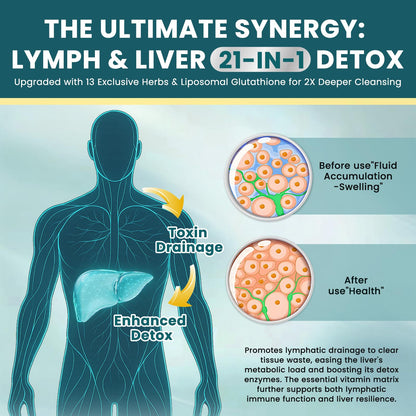 Liposomal Lymphatic Drainage Drops - 21 in 1 Liver Cleanse Detox & Repair with Milk Thistle, Echinacea, Burdock Root, Liposomal Glutathione, Vitamin Complex ''Lymph-Liver'' Gut & Metabolic Health CFILIHTC buy supplements Au