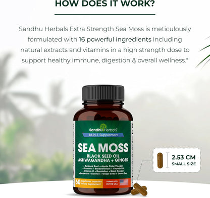 Sea Moss Capsules with Black Seed Oil Ashwagandha Ginger Burdock Root | Advanced Seamoss 60 Count | All Men Women Age