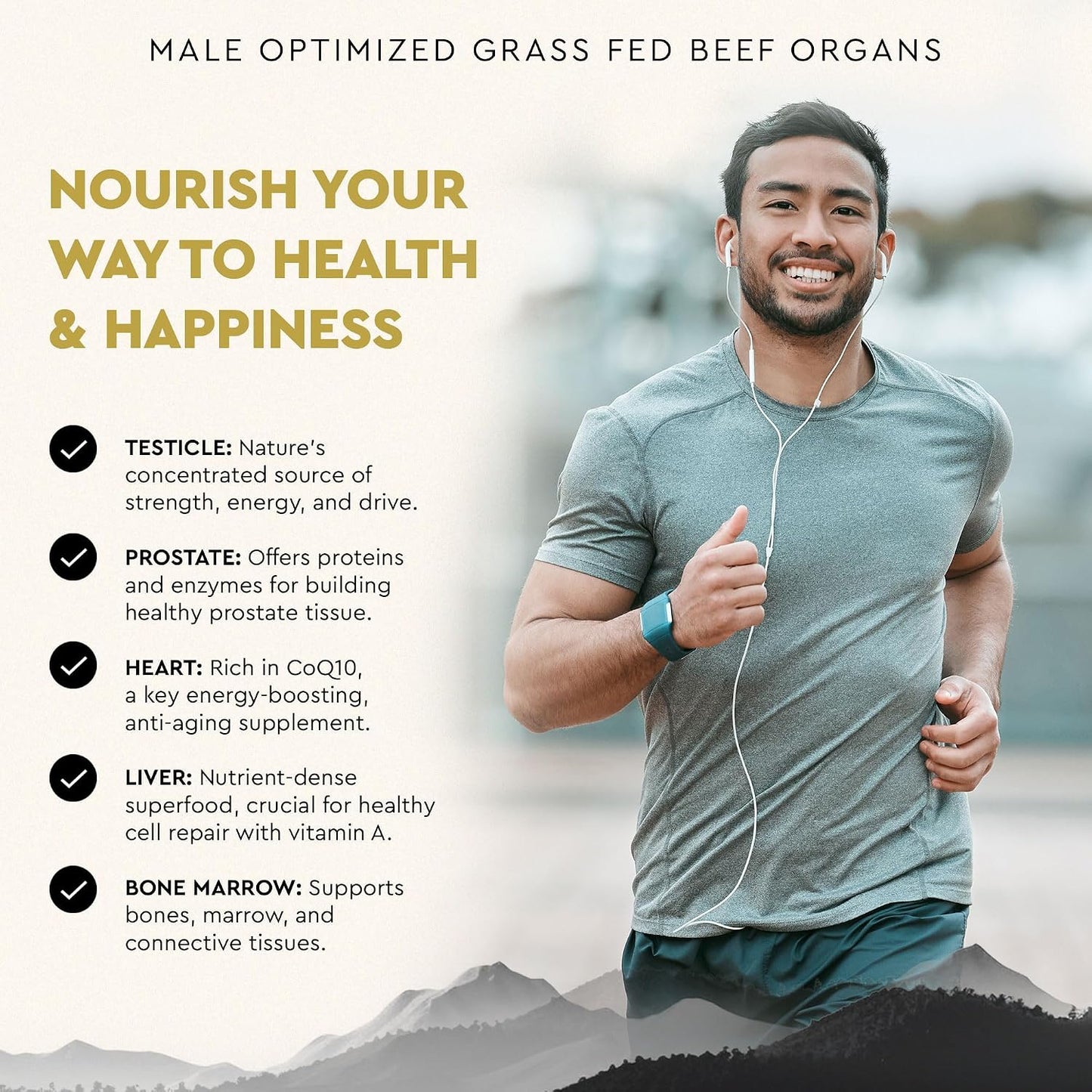 Ancestral Supplements MOFO & Chocolate Protein Bundle for Men – Supports Strength, Energy, Hormone Health & Recovery–Grass Fed Beef Organ Blend with 20g Protein, Gut Health Support & Organic Mushrooms