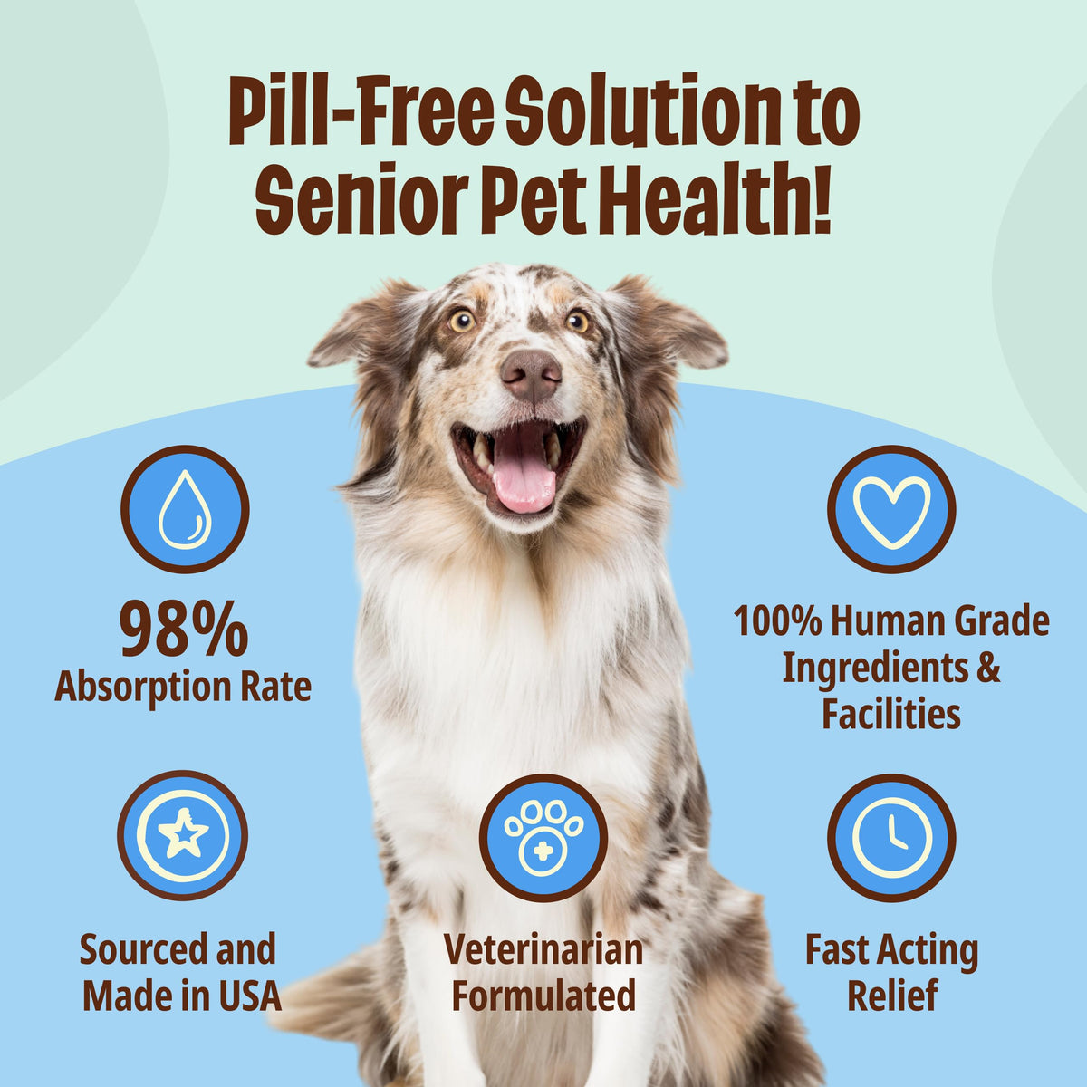 Licks Pill-Free Dog Joint and Heart - Glucosamine & Omega 3 Fish Oil Supplement for Dogs - Inflammation Supplements for Joint Support - Gel Packets - 30 Use Licks Pill FreeBuy Supplements Australia