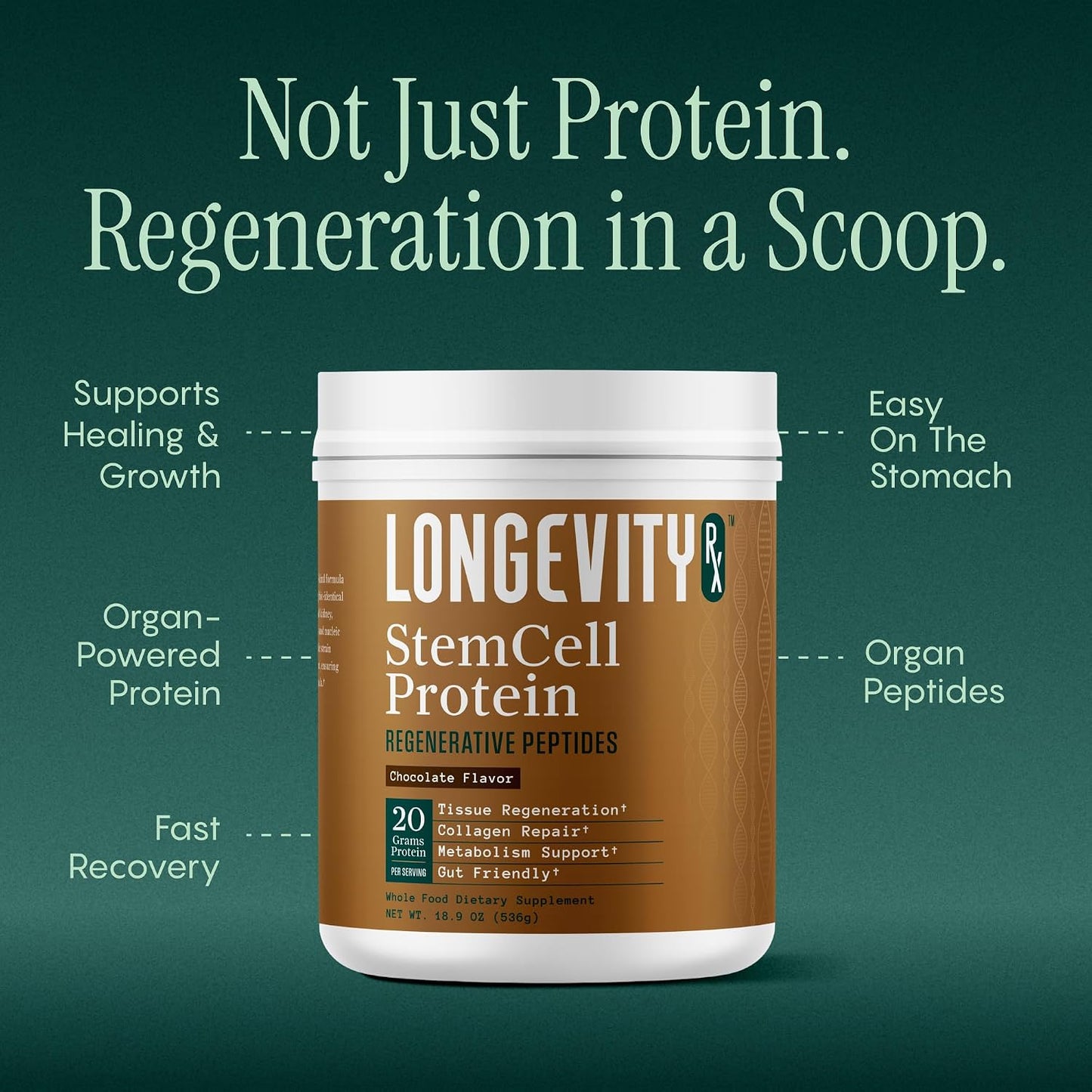 Stem Cell Protein Powder Chocolate – Bone Marrow & Bone Broth Protein, Bacillus Subtilis AB-22, Natural Peptides – Cellular Recovery – 30 Servings