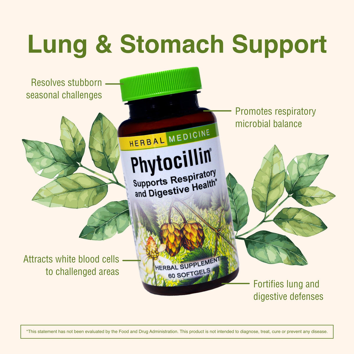 Herbs Etc. Phytocillin - Respiratory & Digestive Health Support Supplement - Herbal Formula to Support Digestion - Support Healthy Breathing - 60 Softgels (60 Servings) Herbs Etc.Buy Supplements Australia
