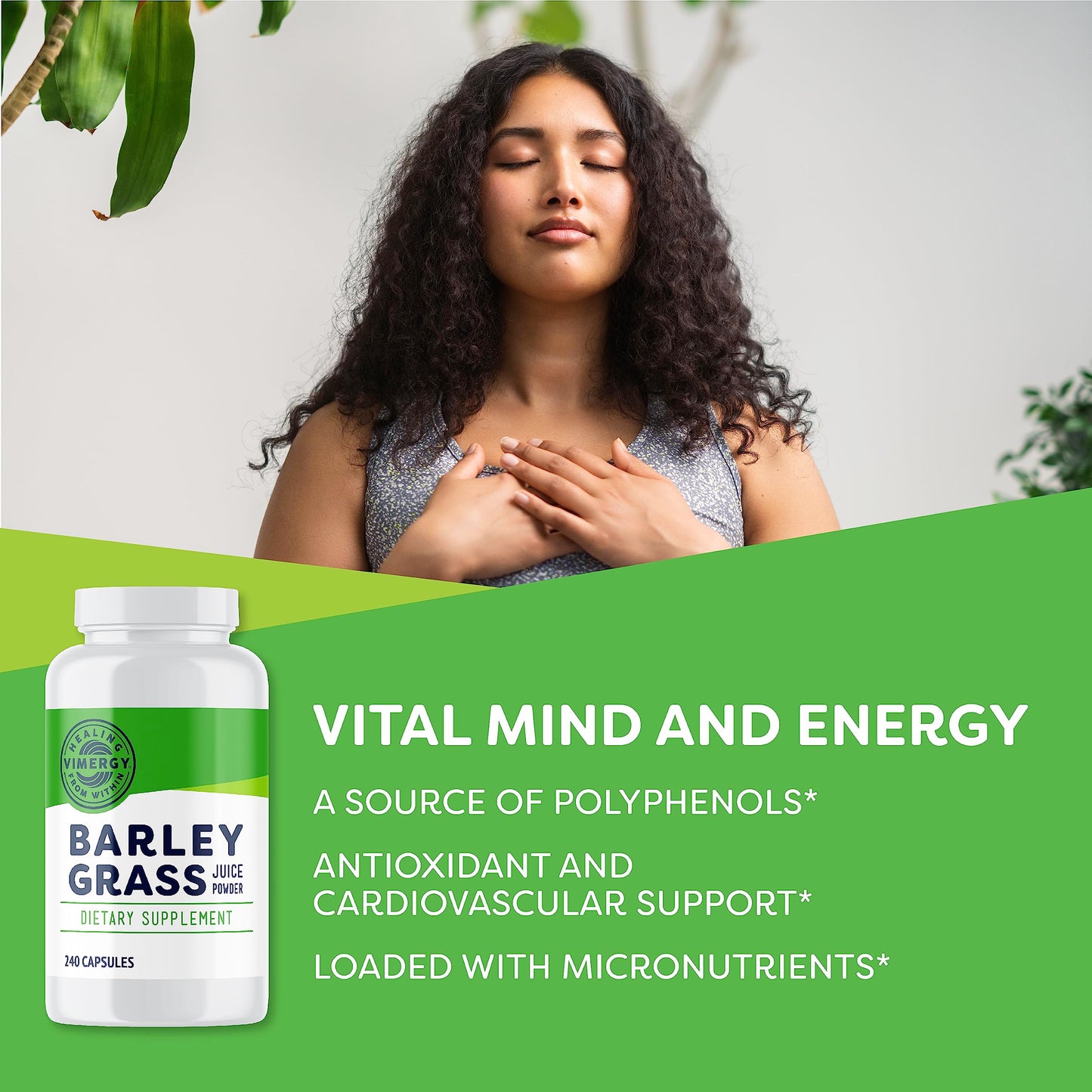 Vimergy Barley Grass Juice Powder Dietary Supplement - 4g per Serving (62 Servings) – Clean Superfood – Promotes Cardiovascular Health* – Organic, Vegan & Gluten-Free – Regular Size 250g