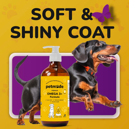 Omega 3 Fish Oil for Dogs - Wild Alaskan Pollock Oil Itchy Skin and Coat | Omega 3 Fatty Acids - Vet Approved Liquid EPA & DHA Supplements - with Zinc, Vitamin C, B2, B7 & E - 16 Fl Oz