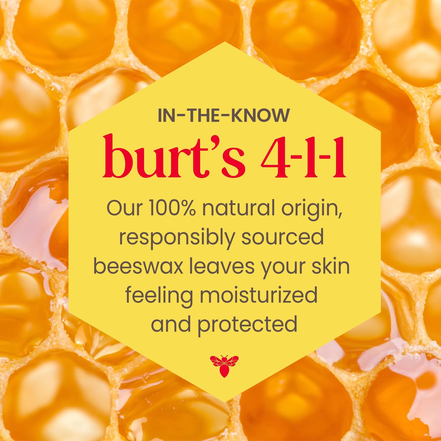 Burt's Bees Lip Tint Balm with Long Lasting 2 in 1 Duo Tinted Balm Formula, Color Infused with Deeply Hydrating Shea Butter
