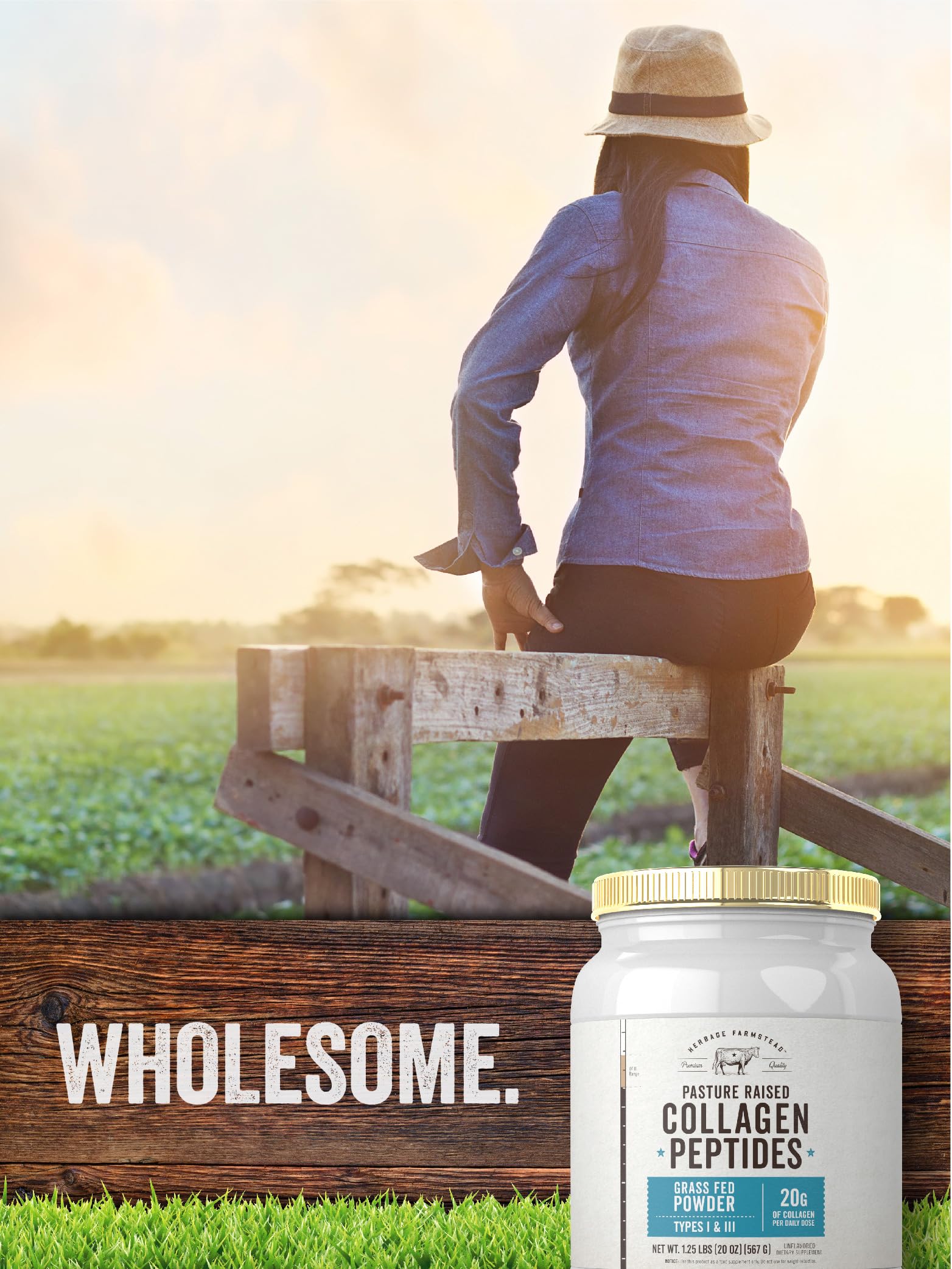 Carlyle Grass Fed Collagen Peptides Powder 20oz | Unflavored | Pasture Raised | Types I & III | 20g of Collagen Per Daily Dose | Non-GMO, Gluten Free | by Herbage Farmstead Carlyle buy supplements Au