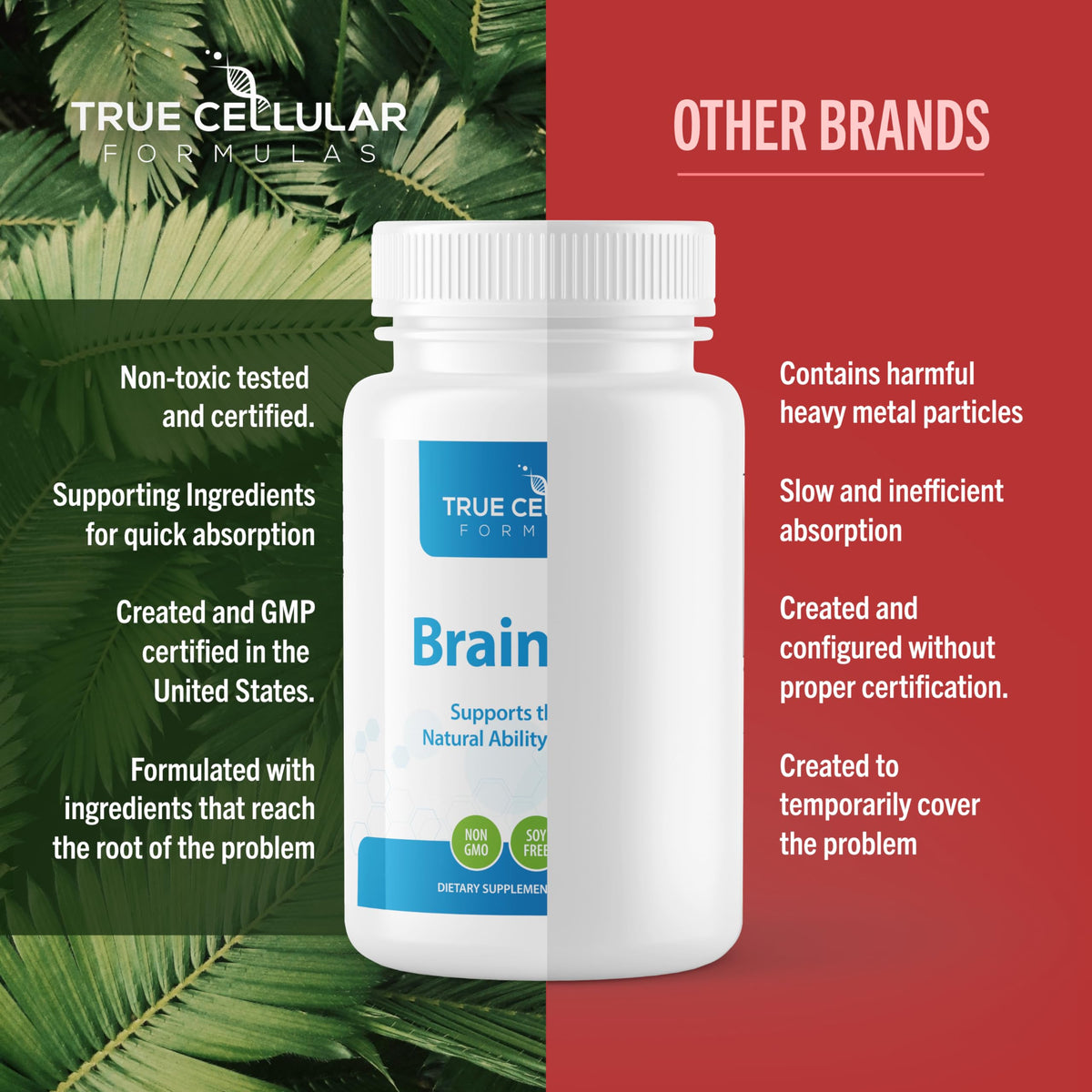 True Cellular Formulas BrainDTX - Supports Cognitive Function, Focus & Mental Clarity - Promotes Clear Thinking & Memory - with Alpha Lipoic Acid & Biotin - Antioxidant Support - 60 Capsules True Cellular Formulas buy supplements Au