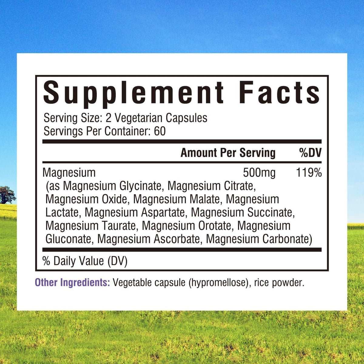Innate Vitality 12-in-1 Magnesium Complex, 500 mg Elemental Mag, with Magnesium Glycinate Malate Taurate Aspartate & More,
