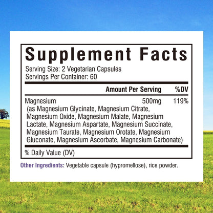 Innate Vitality 12-in-1 Magnesium Complex, 500 mg Elemental Mag, with Magnesium Glycinate Malate Taurate Aspartate & More,