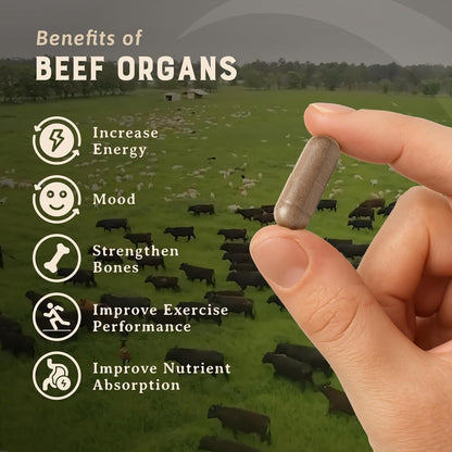 HEART & SOIL Beef Organs Supplement, 180 Capsules | 100% grass fed & finished from regenerative cattle with liver, heart, kidney, pancreas & spleen. 3000mg formula.