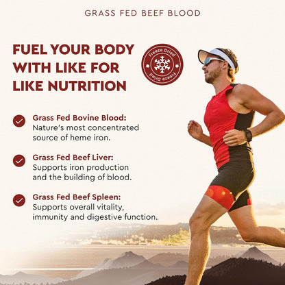 Ancestral Supplements Blood Health Supplement, Organ Formula, 500mg, 180 Ct | Beef blood, spleen and liver supplement supports red and white blood cell formation, immune health and heart health together.