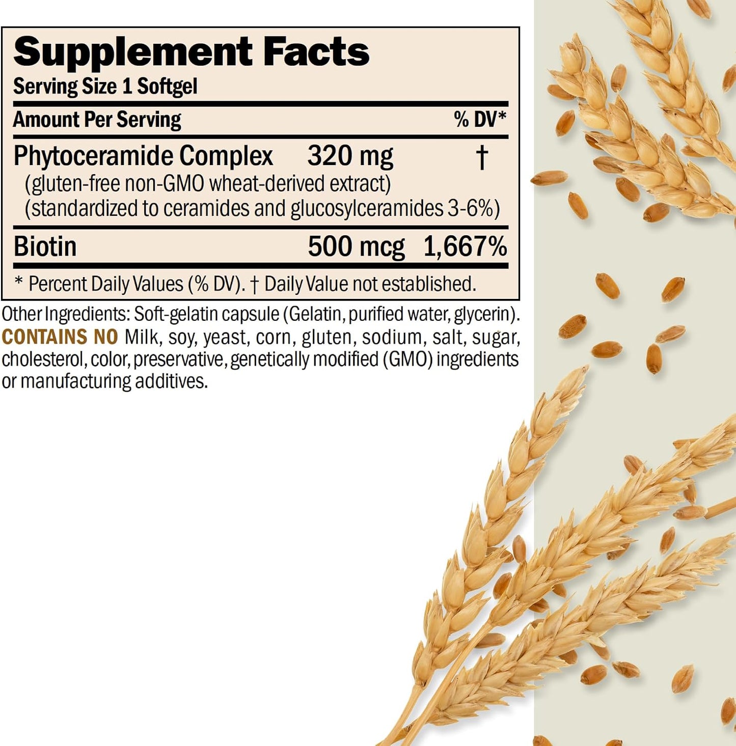 ANDREW LESSMAN Phytoceramides Skin Supplement, 60 Capsules | Plant-derived phytoceramides help support skin hydration, elasticity and a healthy-looking complexion from within.