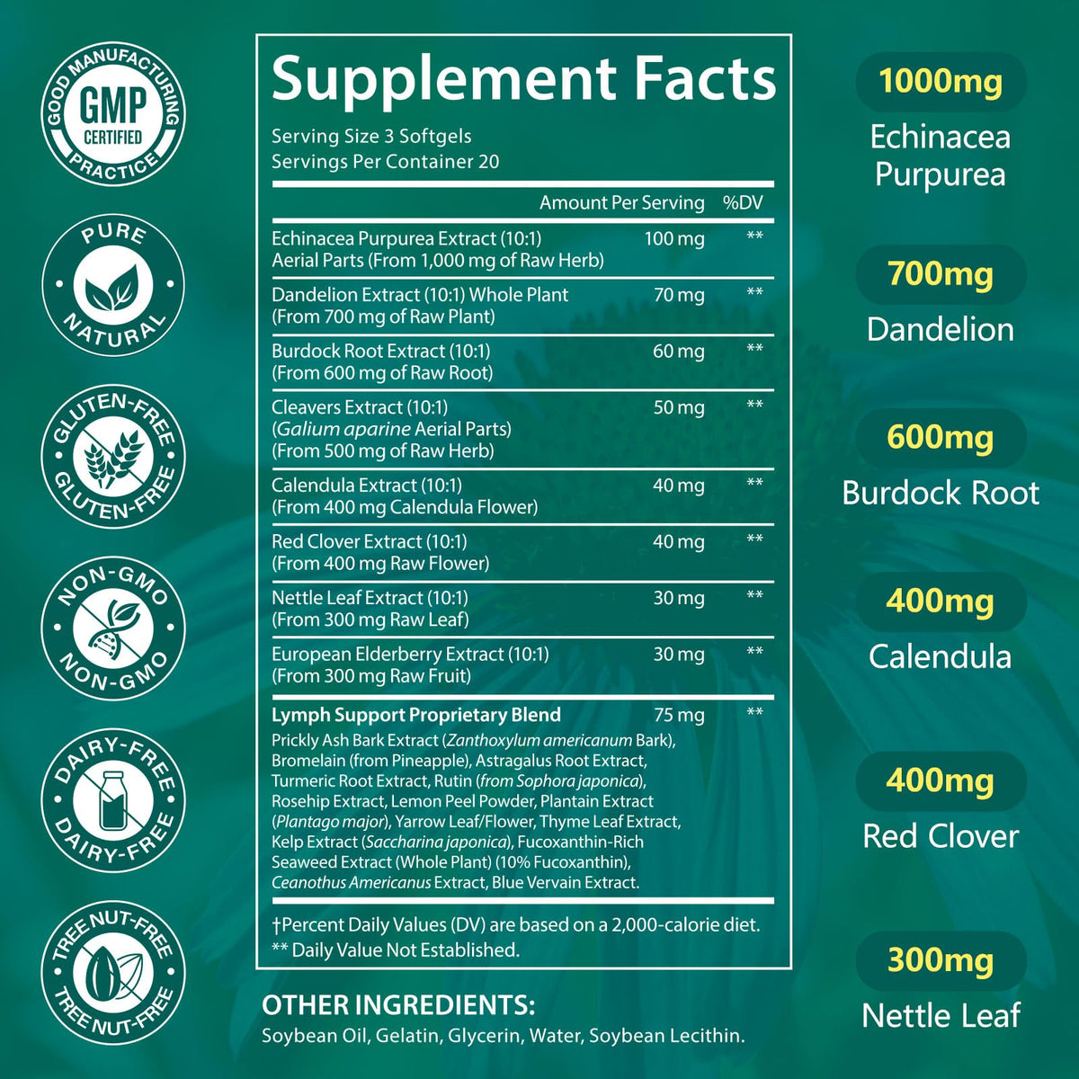 LTQXGT Lymphatic Support Supplement 60 Softgels– Advanced Botanical Complex with Echinacea, Dandelion & Elderberry – Antioxidant-Rich Daily Wellness Formula LTQXGT buy supplements Au