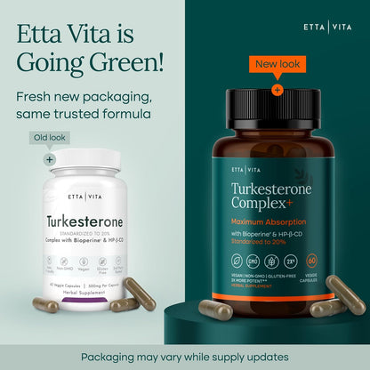 Turkesterone Supplement 500mg for Men & Women, Muscle Growth & Gym Support | Ajuga Turkestanica extract for strength, energy & workout recovery, vegan, non-GMO, third-party tested, made in USA