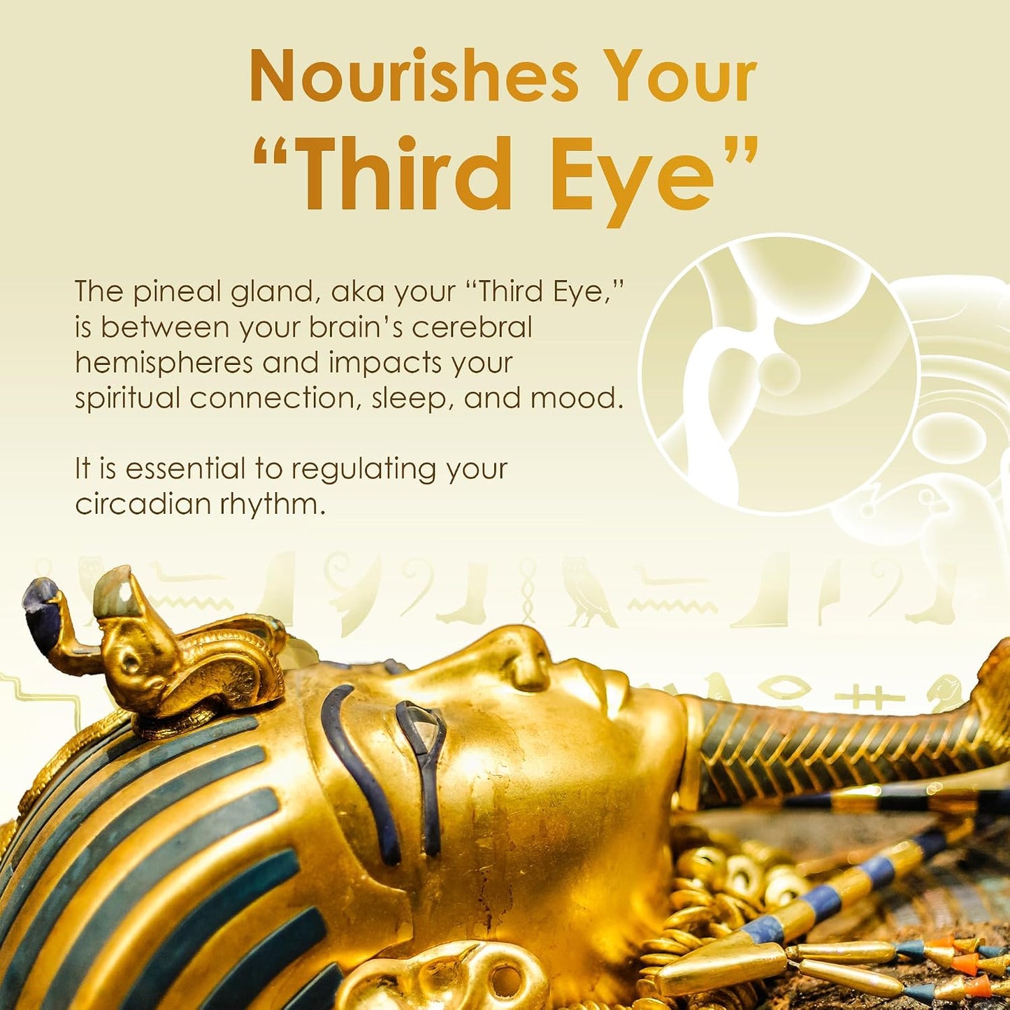 Pharaoh's Nectar XT 24K Monoatomic Gold Ormus Liquid | Third Eye Awakening + Vivid Dreaming, Clean Energy + Mental Clarity, Spiritual Supplement, 60mL