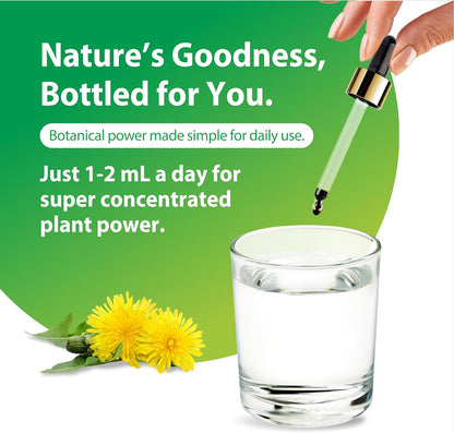 Rainbow Light Dandelion Root Extract Supplement | 2 Fl Oz | Super Concentrated | Alcohol Free | Non-GMO and Gluten Free
