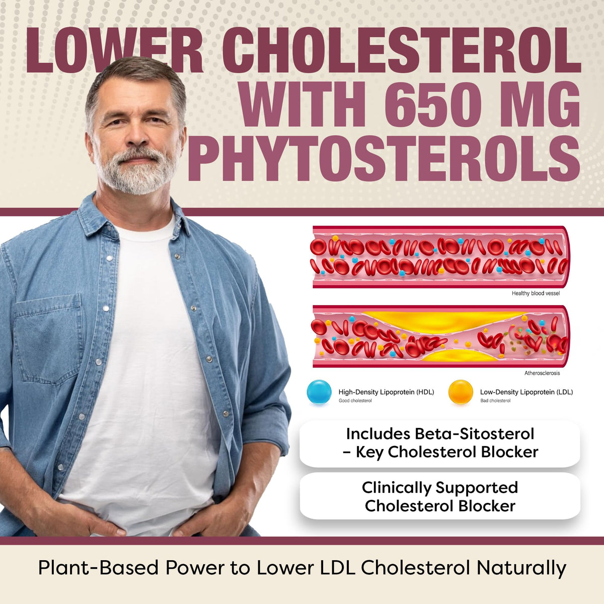 Advanced Cholesterol Health Complex with Plant Sterols. Cholesterol & Lipid Support Supplement for Healthy Heart & Cholesterol Levels for Men & Women. 120 Capsules RHP buy supplements Au