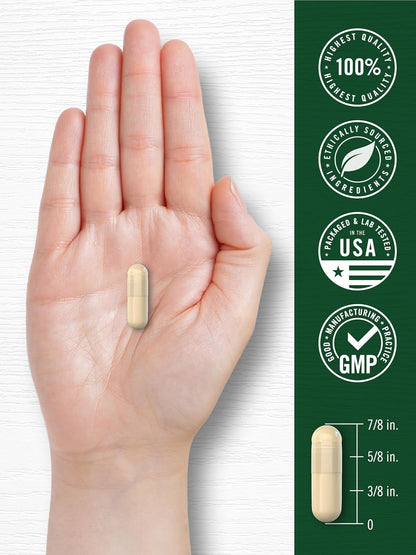 Carlyle Ceylon Cinnamon Capsules | 120 Count | Non-GMO & Gluten Free Supplement