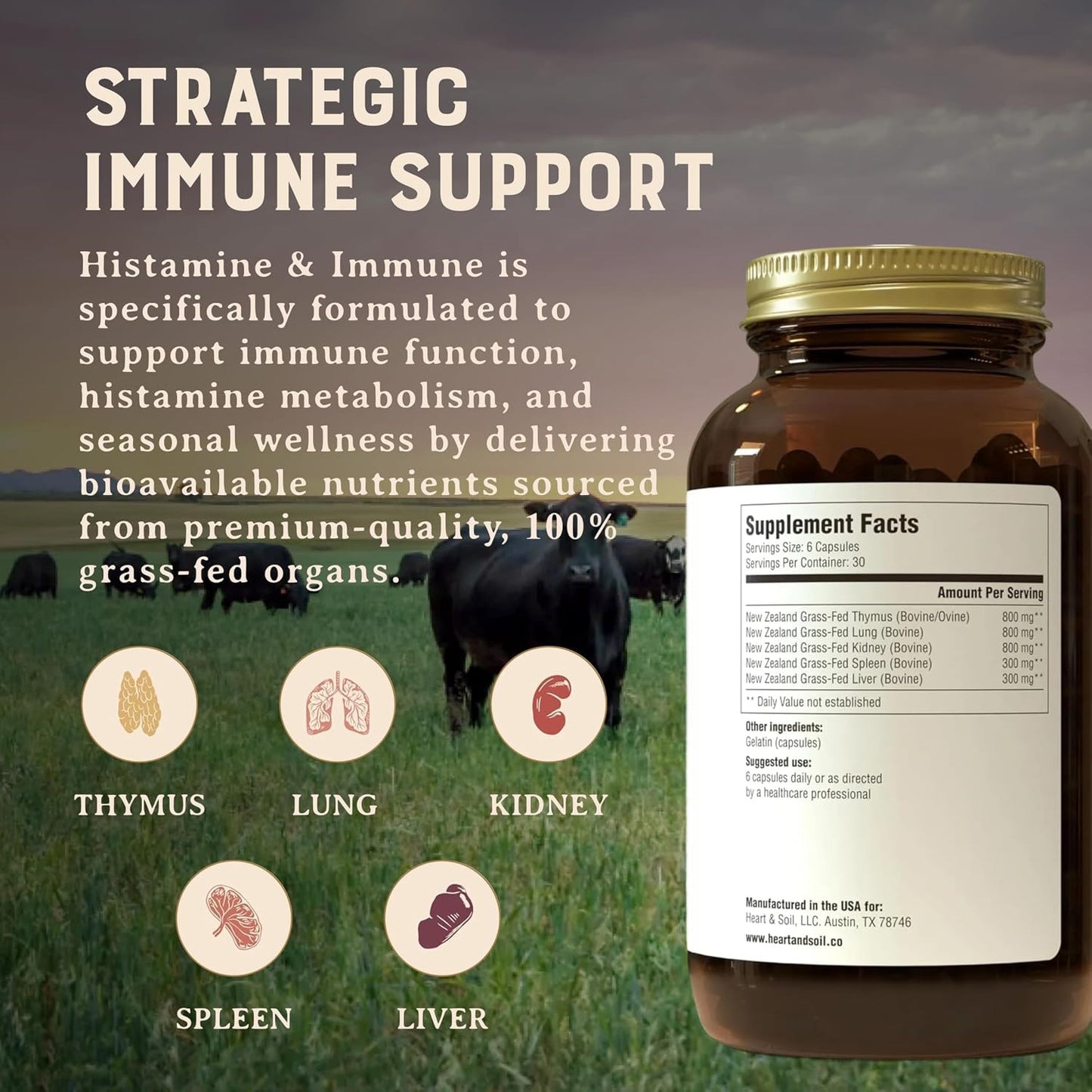 HEART & SOIL Histamine & Immune Support, 180 Capsules | 100% grass fed & finished from regenerative cattle with thymus, lung, spleen, liver & kidney. Immune defense.