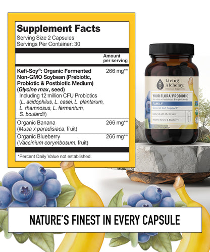 Your Flora Probiotic Family – Non-GMO Probiotics with Fermented Soybean, Banana, & Blueberry for Digestion & Gut Support – Prebiotics, Postbiotics, Digestive Enzymes – Living Alchemy, 60 Capsules Living Alchemy buy supplements Au