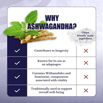 ActiveSpan | Longevity Supplements with Astragalus Root | Anti Aging Support, Ashwagandha, Cat's Claw & Cinnamon, for Women and Men, Vegan, 30 Days Supply, 60 Capsules