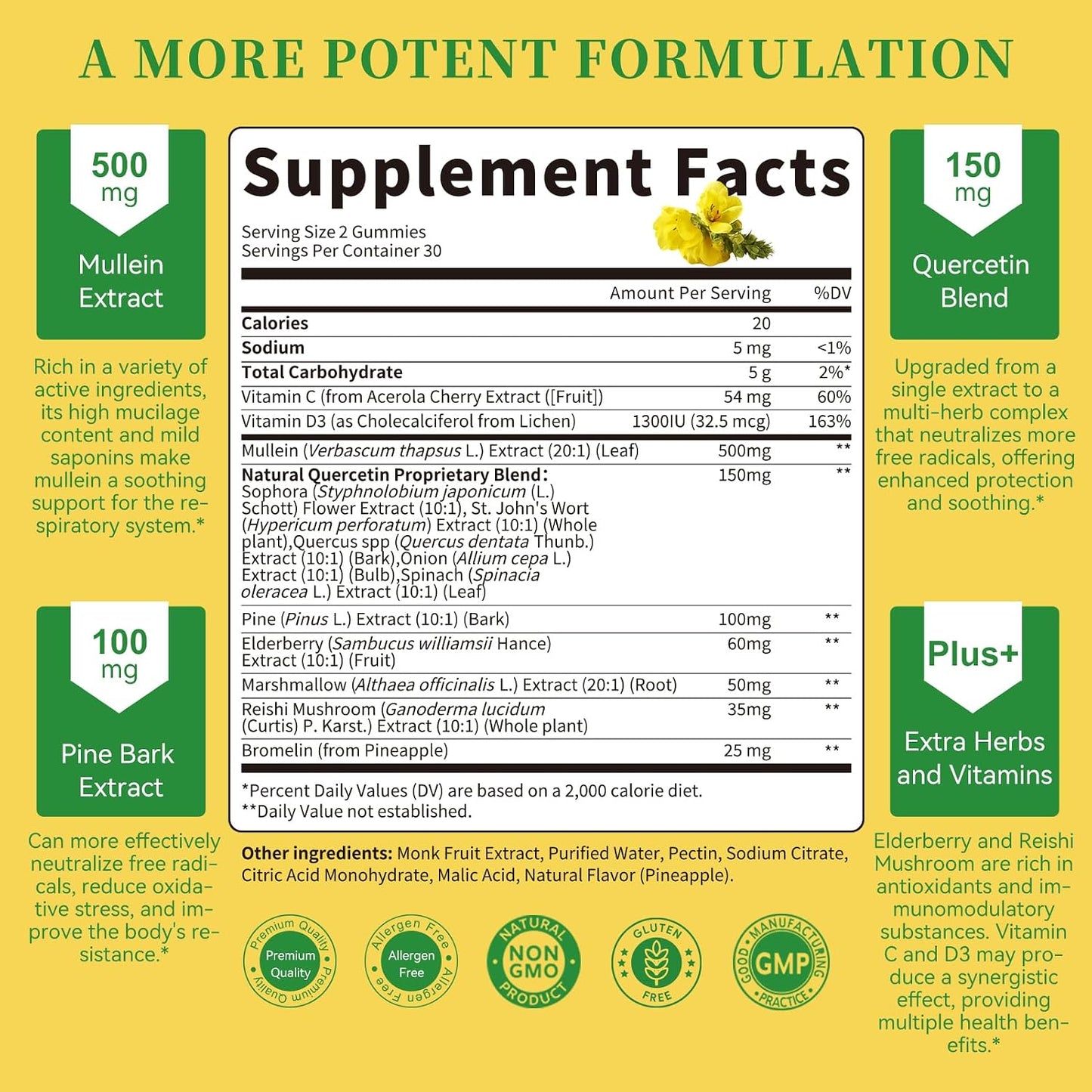 (2 Pack) Mullein Gummies for Lung Cleanse & Lymphatic Drainage* -120 Count | Extra Strength Mullein Leaf Extract w/Quercetin, Elderberry & Marshmallow for Respiratory & Immunity - for Women & Men-Vegan