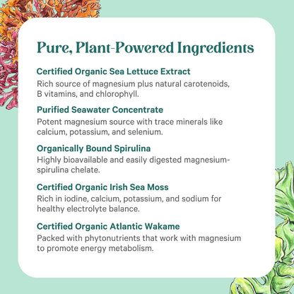 PURE SYNERGY Vital Ocean Magnesium | Organic Magnesium Supplement Capsules | Vegan, Seaweed-Based Complex with Spirulina, Chlorella, & Wakame | for Energy, Sleep, & Stress (60 Capsules)