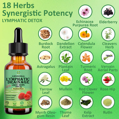 Lymphatic Drainage Drops, 18-in-1 Herbal Lymph System Support w. Echinacea Elderberry Dandelion Burdock Root Cleavers for Lymphatic Cleanse Detox Immune Support, Liposoaml for Max Absorption JUIWEFKK buy supplements Au