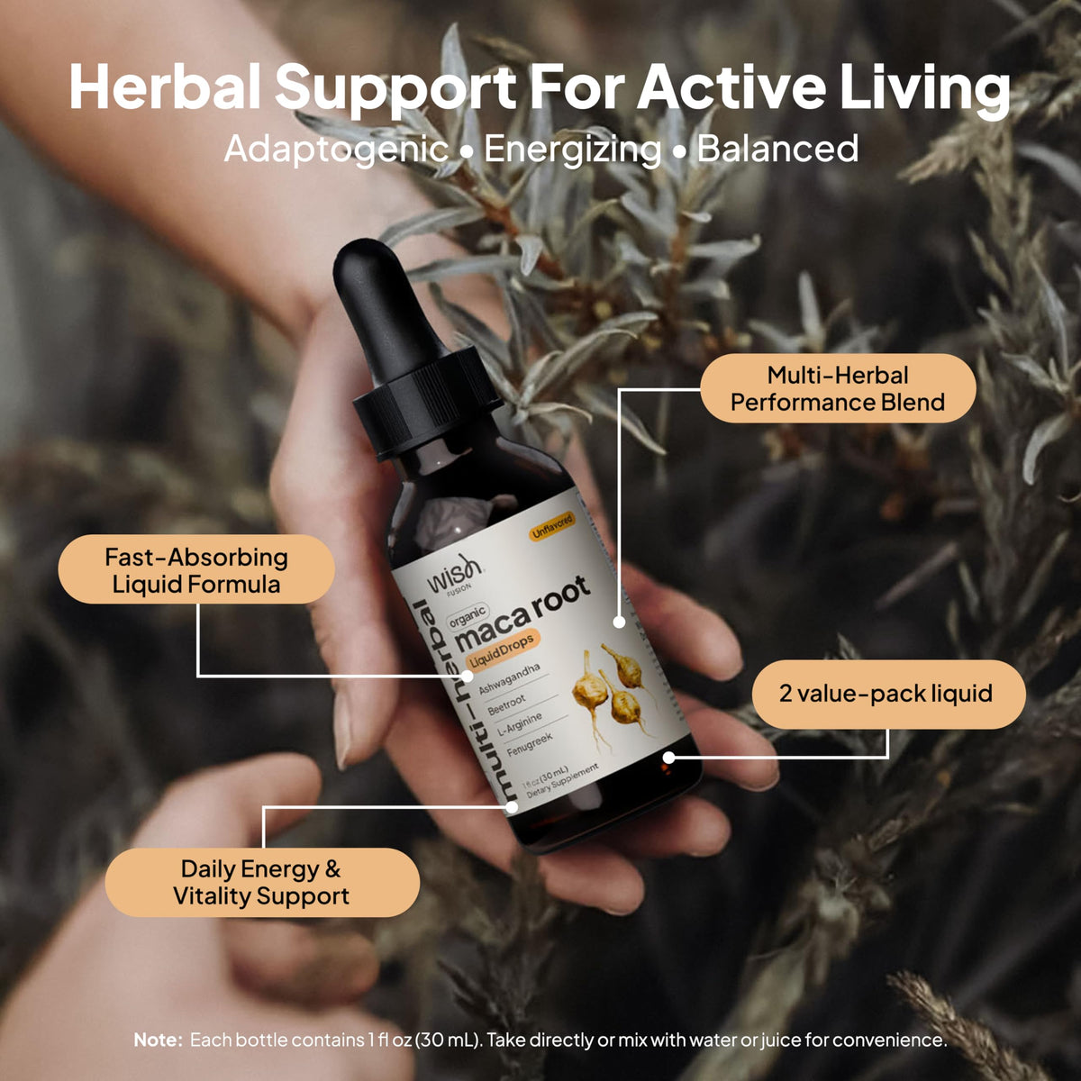 Wish Fusion Maca Root Liquid Drops 2 Pack Organic Maca Root Drops for Energy Support Hormone Balance, Mood Maca Root, Ashwagandha & Tongkat Ali Blend, Liquid Maca Root Extract Fenugreek & Beetroot Wish FusionBuy Supplements Australia