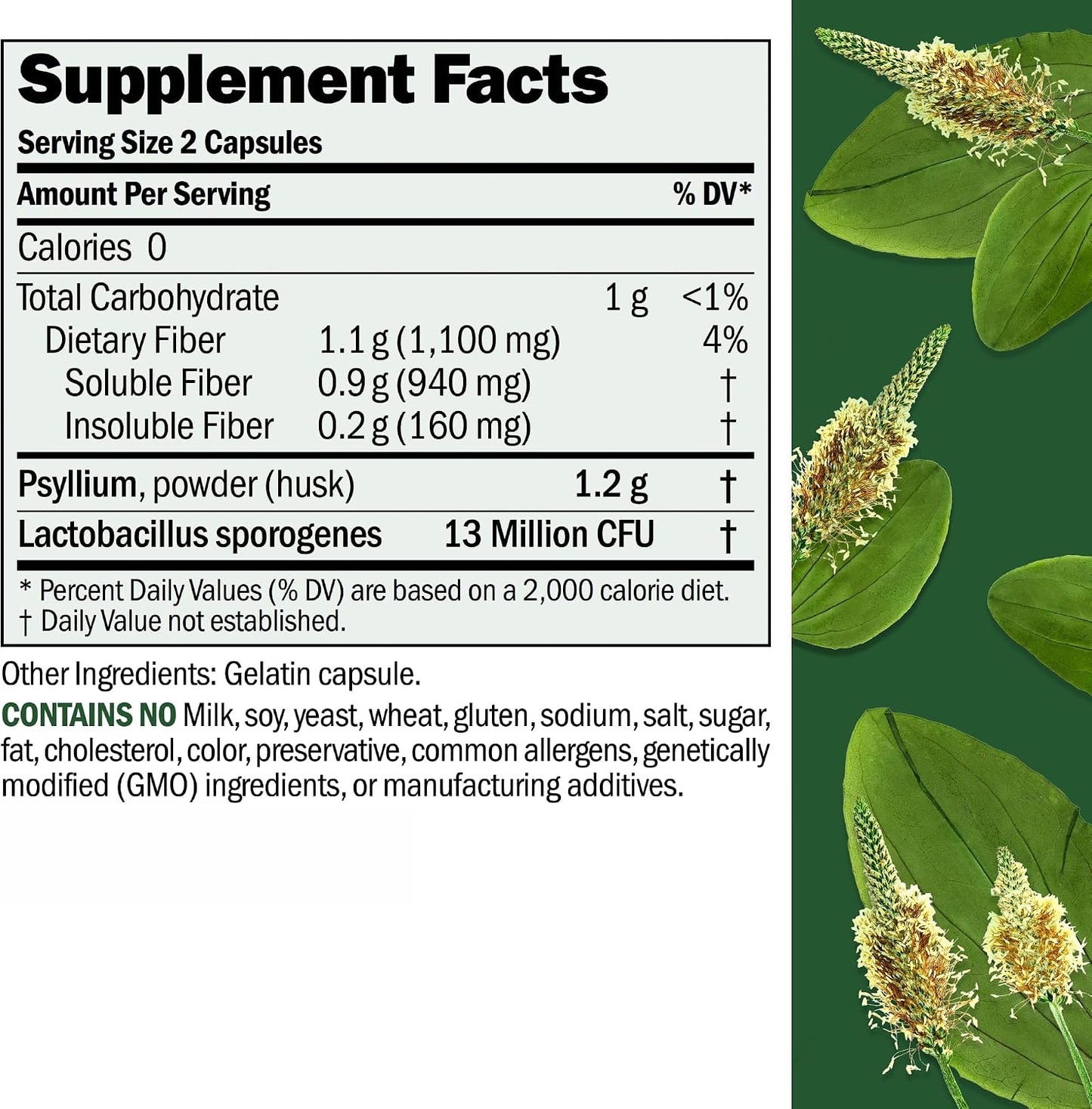Andrew Lessman ProCaps Fibermucil Psyllium Husk Fiber 180 Capsules | Psyllium Husk Powder with Soluble & Insoluble Fiber plus Lactobacillus Sporogenes. No additives. Easy-to-swallow capsules.