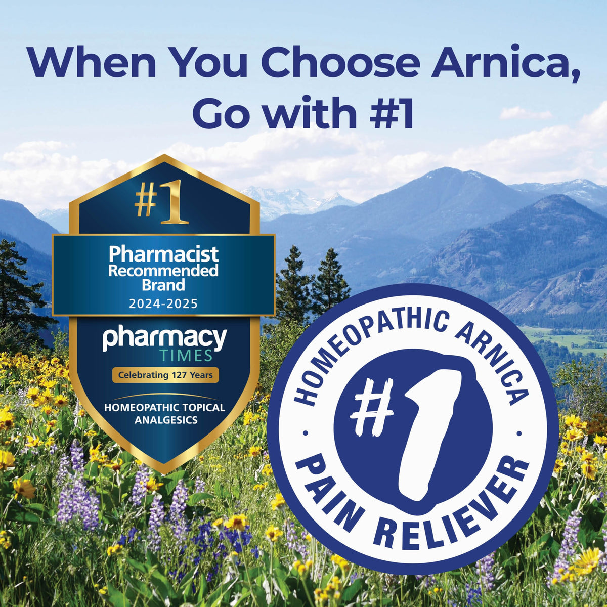 Boiron Arnicare Cream 4.2 oz (Twin Pack) for Joint Pain, Muscle Pain Relief, Swelling, Soreness, Stiffness, and Bruises - Fast Absorbing and Fragrance-Free Arnica BoironBuy Supplements Australia