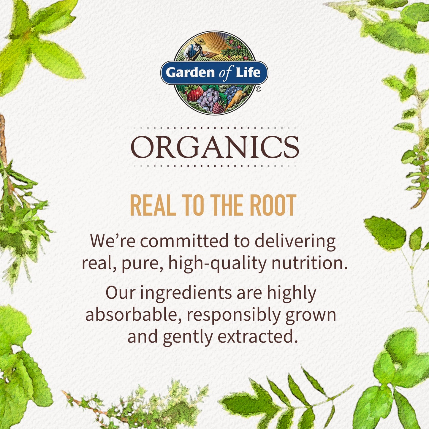Garden of Life Organics Whole Food Multivitamin for Men, 120 Tablets, Vegan Mens Vitamins and Minerals for Health and Well-Being, Certified Organic Vegan Multi Garden of LifeBuy Supplements Australia