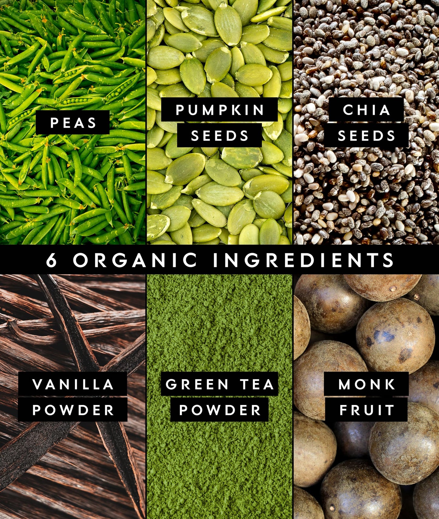 Truvani Organic Plant Based Protein Powder | Vanilla | 18 Servings | Vegan | 20g Pea Protein | Keto | Gluten & Dairy Free | Low Carb | No Added Sugar
