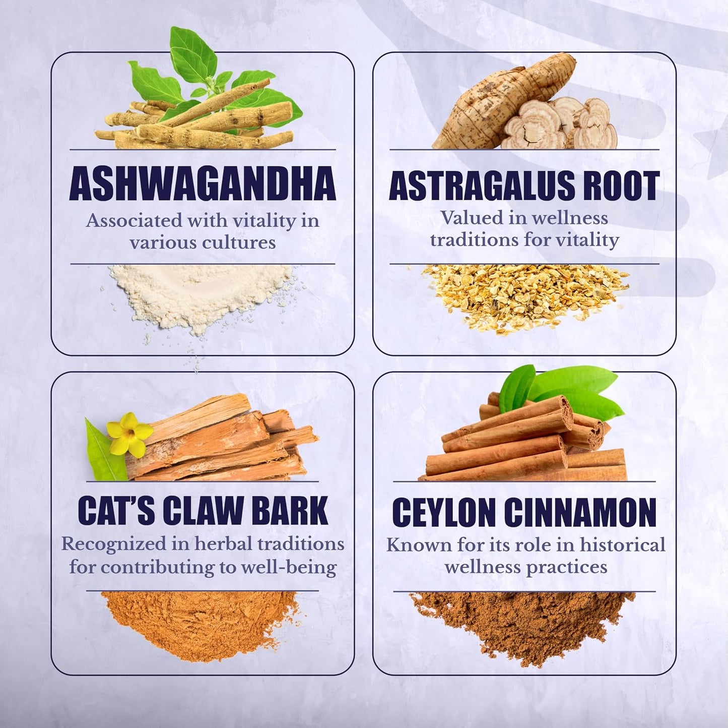 ActiveSpan | Longevity Supplements with Astragalus Root | Anti Aging Support, Ashwagandha, Cat's Claw & Cinnamon, for Women and Men, Vegan, 30 Days Supply, 60 Capsules
