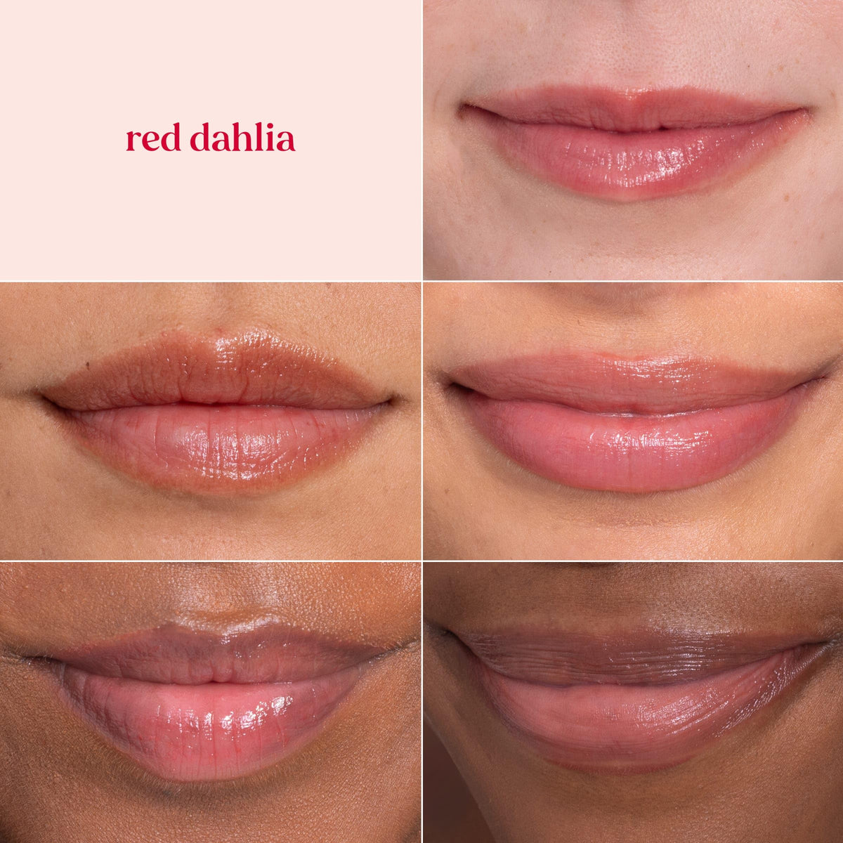 Burt's Bees Lip Tint Balm with Long Lasting 2 in 1 Duo Tinted Balm Formula, Color Infused with Deeply Hydrating Shea Butter