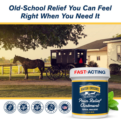 Amish Origins Pain Relief Ointment 4 oz Maximum Strength All Natural Discomfort Reliever for Joint, Muscle, Knee, Back, Neuropathy