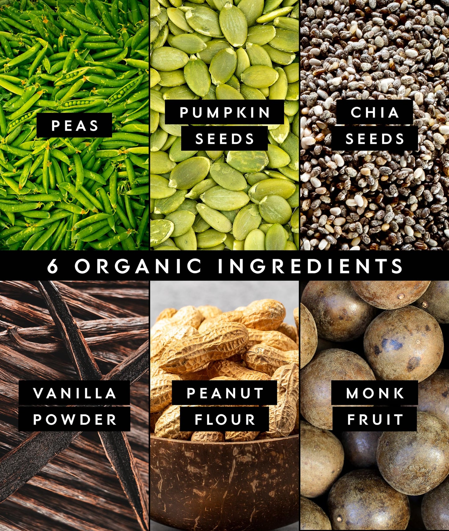Truvani Organic Plant Based Protein Powder | Vanilla Chai | 10 Servings | Vegan | 20g Pea Protein | Keto | Gluten & Dairy Free | Low Carb | No Added Sugar