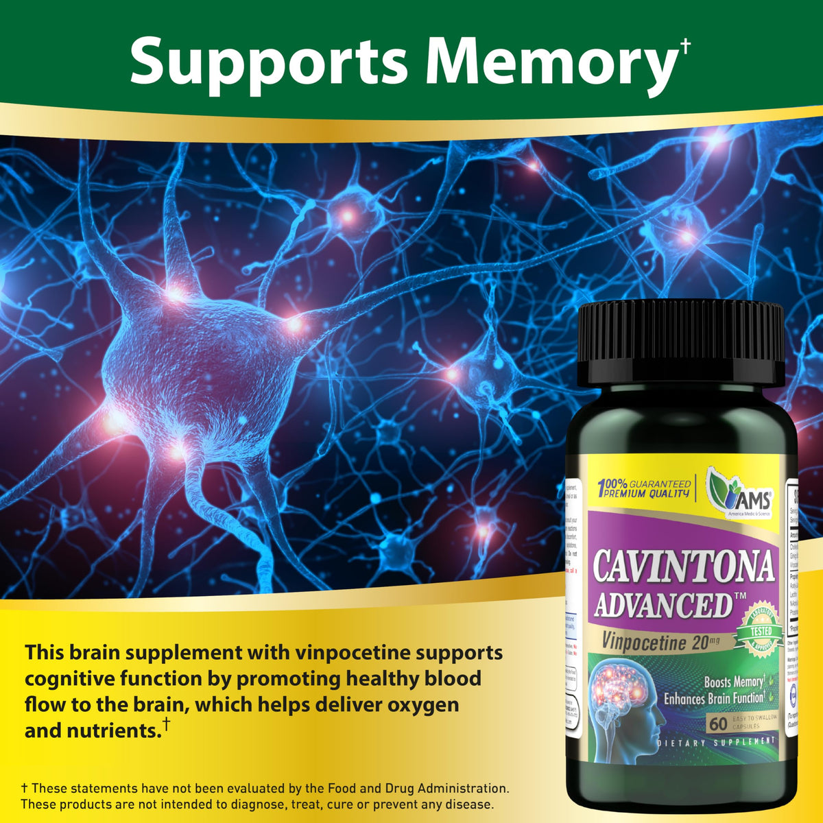 America Medic & Science Cavintona Advanced Supplement – Vinpocetine 20mg for Memory, Recall & Brain Health – Supports Cognitive Function, Focus, Mental Clarity & Blood Flow – 60 Capsules America Medic & ScienceBuy Supplements Australia