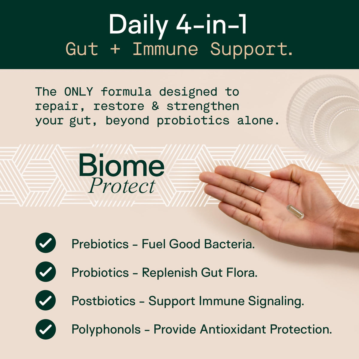 Adapt Naturals 4-in-1 Biome Protect Prebiotics, Probiotics Supplement Postbiotics & Polyphenols for Microbiome, Gut Health & Defense - PrimeBioHealth - canada supplements