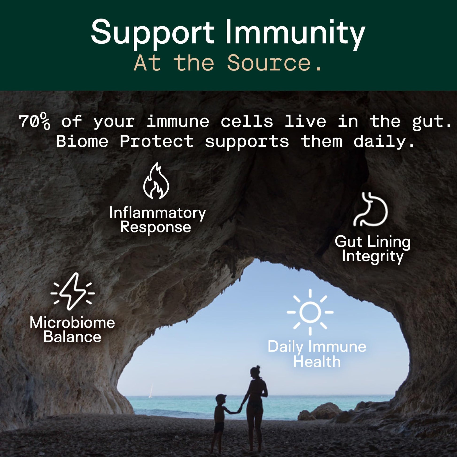 Adapt Naturals 4-in-1 Biome Protect Prebiotics, Probiotics Supplement Postbiotics & Polyphenols for Microbiome, Gut Health & Defense for Women & Men, 30 Day Supply - PrimeBioHealth - canada supplements