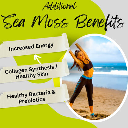 Advanced Bionetix Organic Irish Sea Moss Capsules, Raw Wildcrafted Seamoss Enhanced w/Bladderwrack & Burdock Root Capsules 120 Total Pills Antioxidant Packed. Prebiotic Superfood, Thyroid Support - PrimeBioHealth - canada supplements