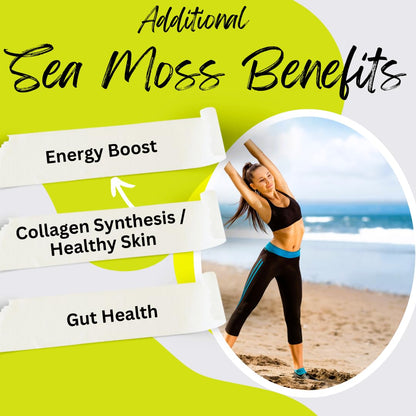 Advanced Bionetix Organic Irish Sea Moss Capsules, Raw Wildcrafted Seamoss Enhanced w/Bladderwrack & Burdock Root Capsules 120 Total Pills Antioxidant Packed. Prebiotic Superfood, Thyroid Support - PrimeBioHealth - canada supplements
