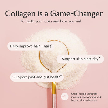 Alaya Multi Collagen Powder - Type I, II, III, V, X Hydrolyzed Collagen Peptides Protein Powder Supplement with MSM - PrimeBioHealth - canada supplements