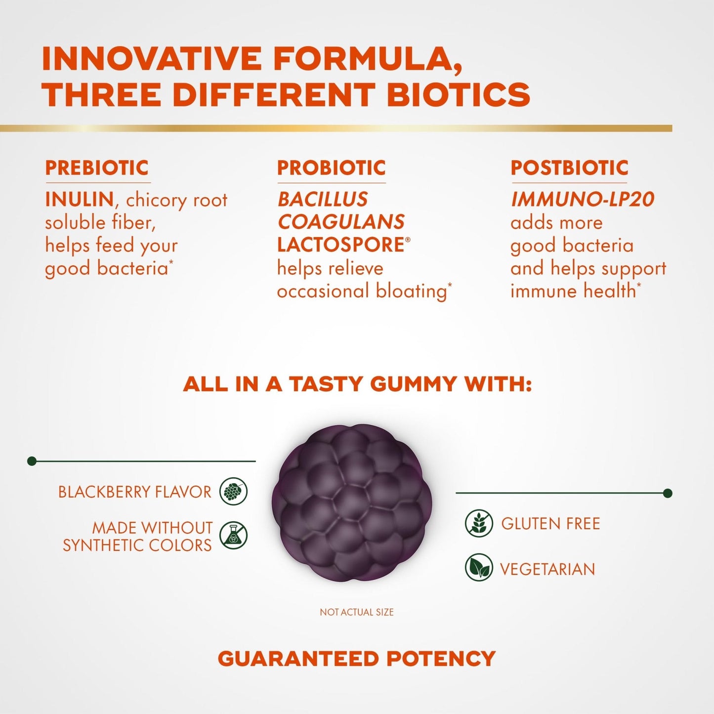 Align Probiotic, 3-in-1 Biotic Gummies, Prebiotic + Probiotic + Postbiotic, 1 Doctor Recommended Probiotic Brand‡, Helps Relieve Occasional Bloating - PrimeBioHealth - canada supplements