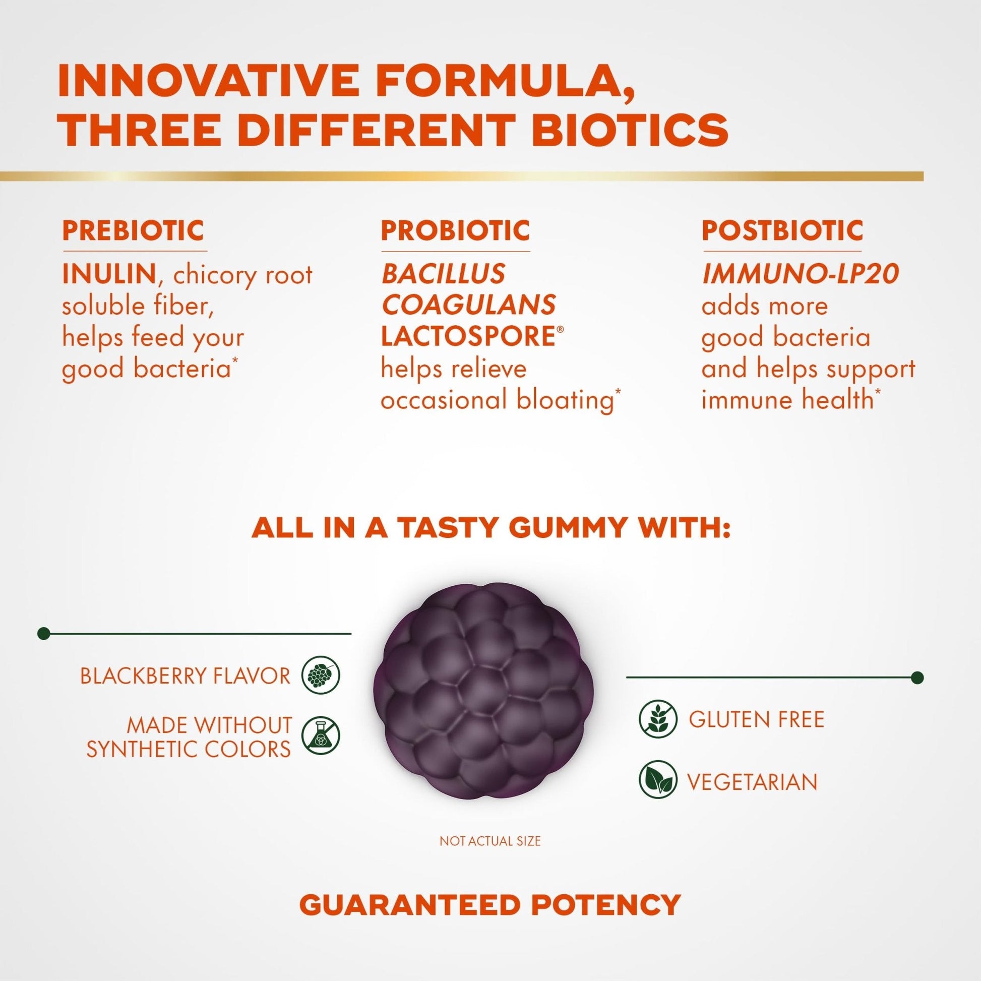 Align Probiotic, 3-in-1 Biotic Gummies, Prebiotic + Probiotic + Postbiotic, 1 Doctor Recommended Probiotic Brand‡, Helps Relieve Occasional Bloating - PrimeBioHealth - canada supplements