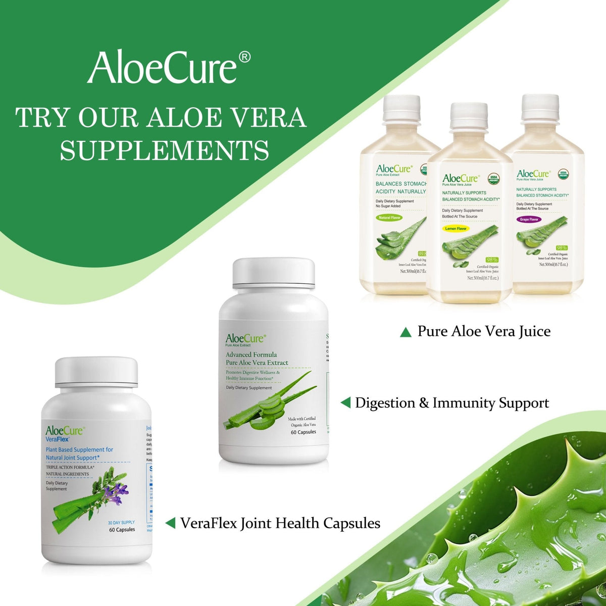 AloeCure Daily Probiotics 10 Billion CFU for Digestive Support 8 Strains, 6 Prebiotics & Enzymes - Digestive Supplement with Bromelain for Women & Men - PrimeBioHealth - canada supplements